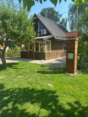 Močvirski Tulipan
